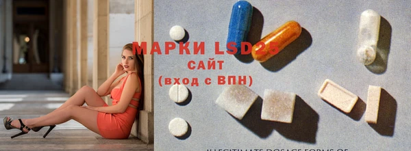 ешки Арсеньев
