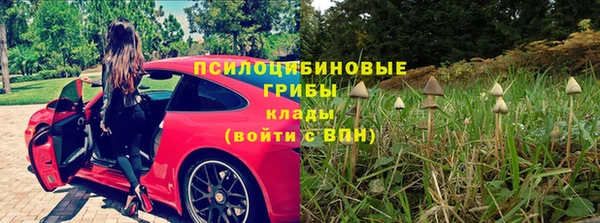 тгк Армянск