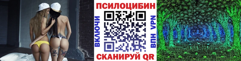 mega рабочий сайт  Похвистнево  Псилоцибиновые грибы Cubensis 